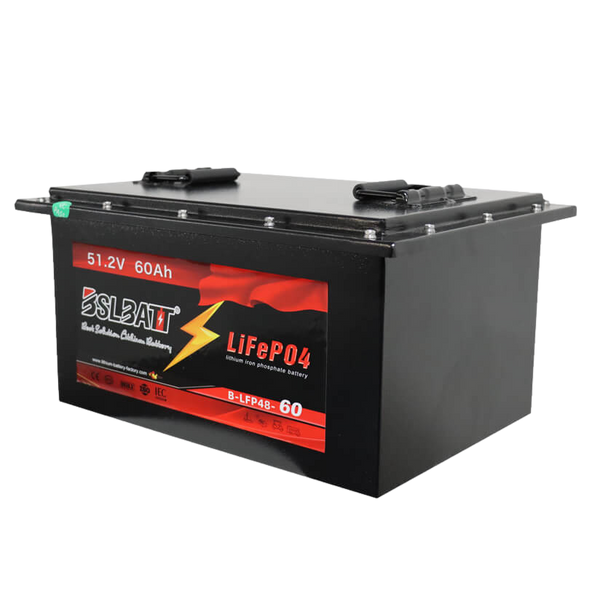 New 51.2v 60ah 3.07kWh Lifepo4 Battery with BMS - 48v