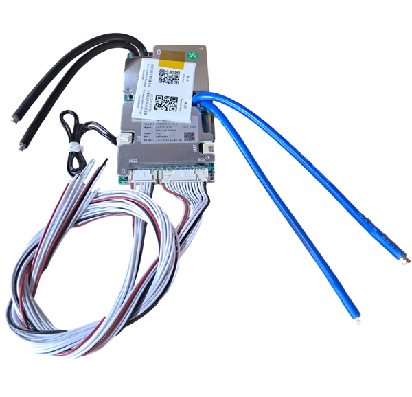 Li-ion/Lifepo4 3s-21s 100a BMS W/ LOW TEMP CUTOFF
