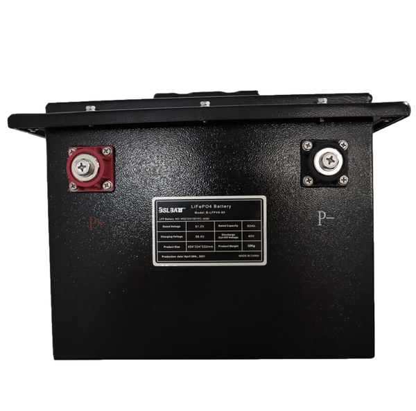 New 51.2v 60ah 3.07kWh Lifepo4 Battery with BMS - 48v