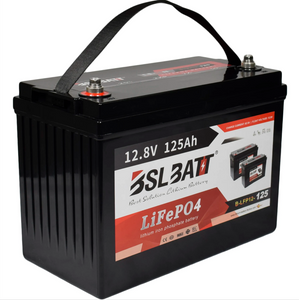 12.8v 125ah 1.6kWh Lifepo4 Battery with BMS - 12v