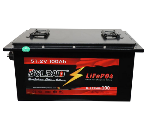 New 51.2v 100ah 5.12kWh Lifepo4 Battery with BMS - 48v