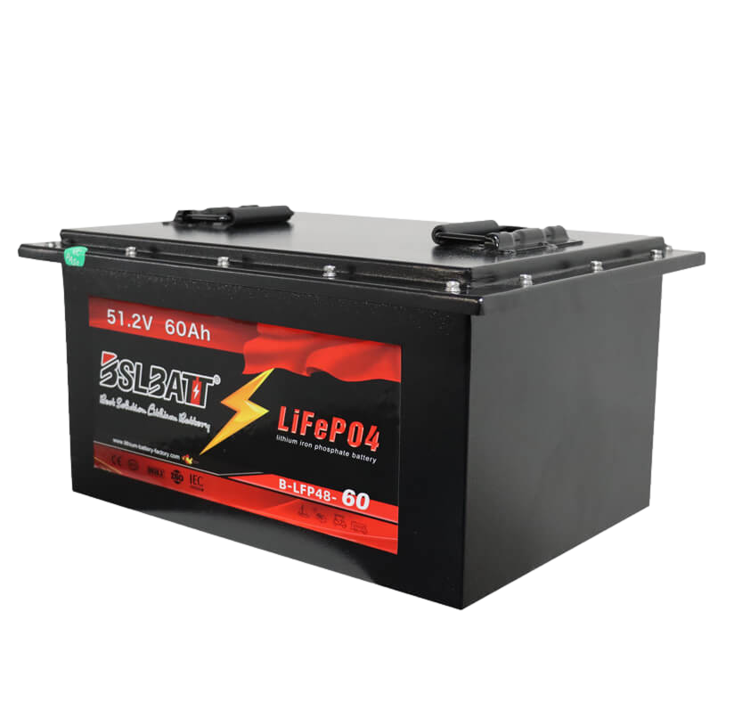 New 51.2v 60ah 3.07kWh Lifepo4 Battery with BMS - 48v