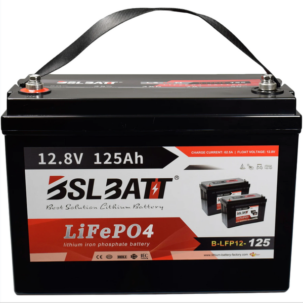 12.8v 125ah 1.6kWh Lifepo4 Battery with BMS - 12v