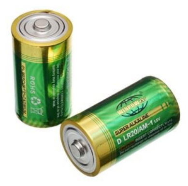 2x WinPowa D Batteries Alkaline