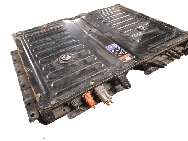Ford 10.7kWh Module