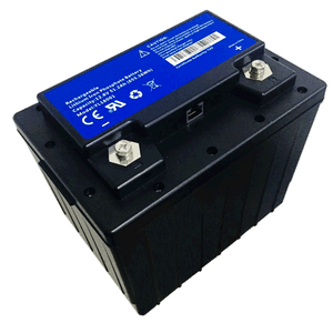 Ace YL18001 12.8v 51.2ah 655.36 Lifepo4 w/BMS