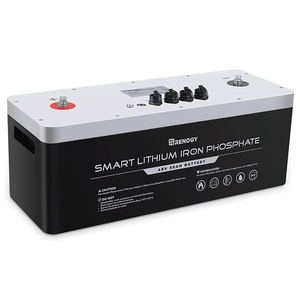 48V 50Ah Smart Lithium Iron Phosphate Battery