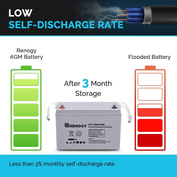 NEW Renogy 12V 100Ah Deep Cycle AGM Battery