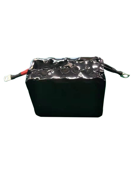 NEW 12v 100ah Lifepo4 Kit w/ BMS & Low Temp