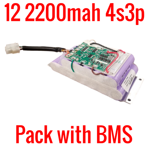 PACK WITH 12 MOLICEL 2200MAH LITHIUM ION